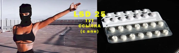 стаф Абинск