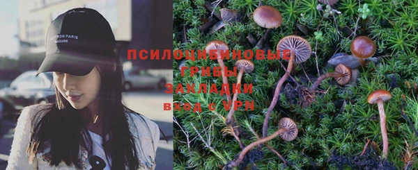 дурь Абаза