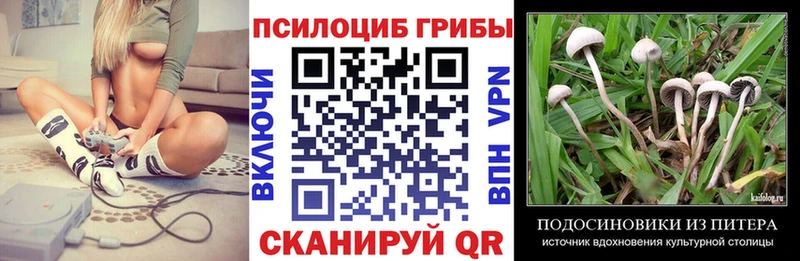 Псилоцибиновые грибы Psilocybine cubensis  мега зеркало  Монино 